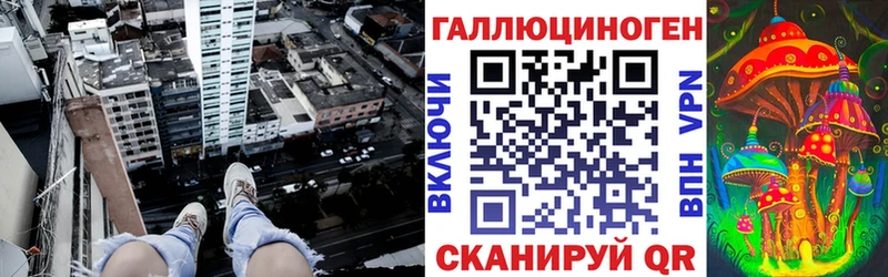 Псилоцибиновые грибы Psilocybine cubensis  Темрюк 